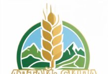 В Алтайском крае стартовал первый региональный сельскохозяйственный проект «Алтай: сила земли»